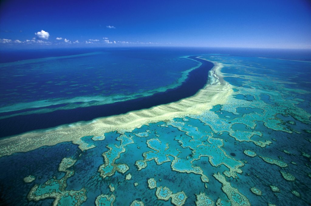 The Great Barrier Reef, Australia