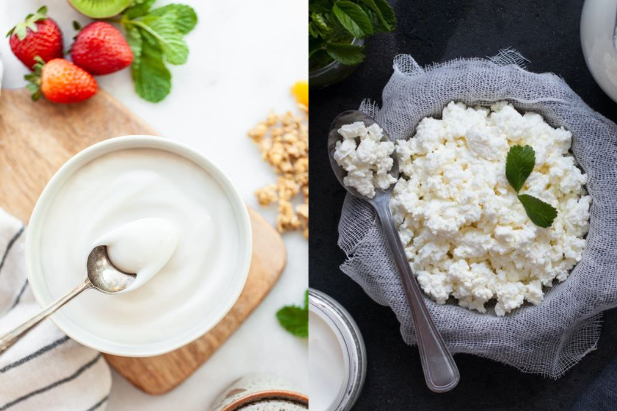 Cottage Cheese vs Greek Yogurt