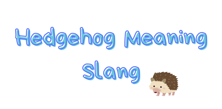 Hedgehog Meaning Slang