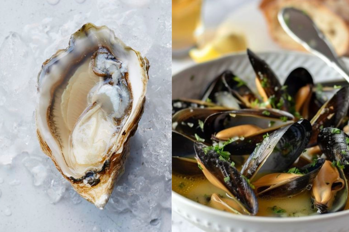 Mussels vs Oysters