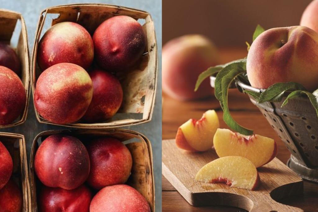 Peach vs Nectarine