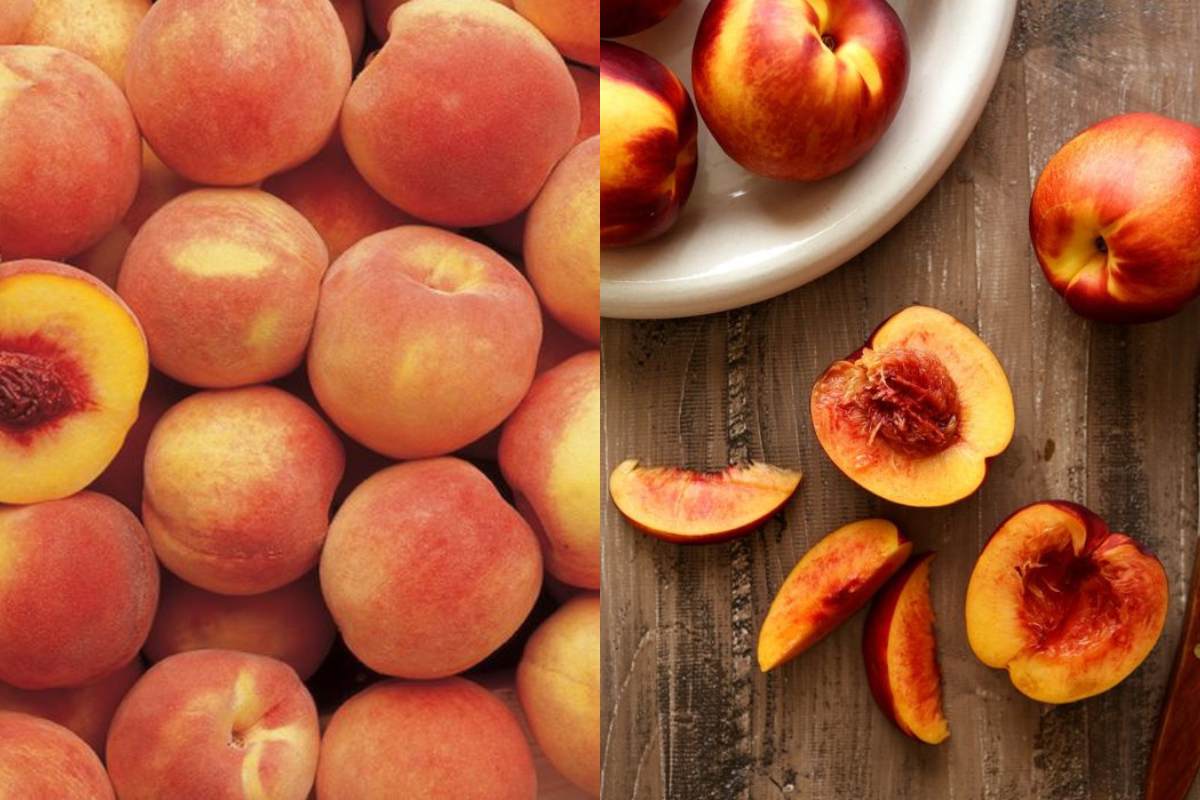 Peach vs Nectarine