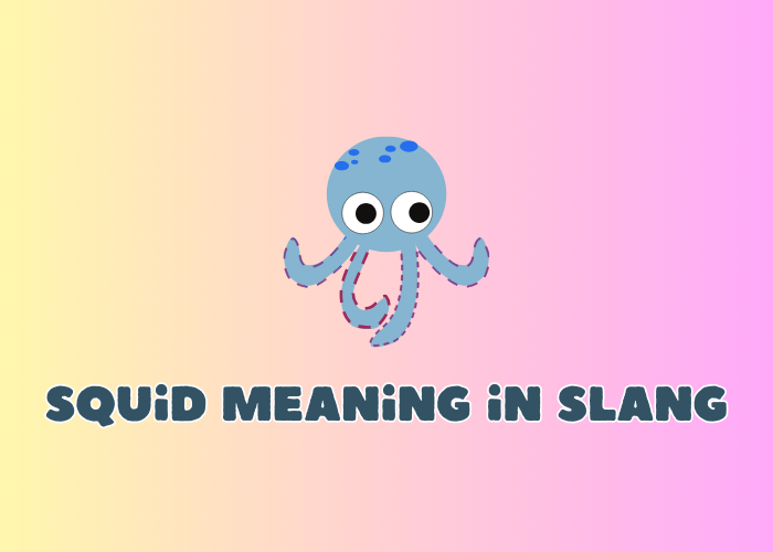 Squid meaning in slang