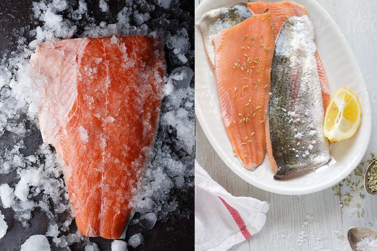 Trout vs Salmon