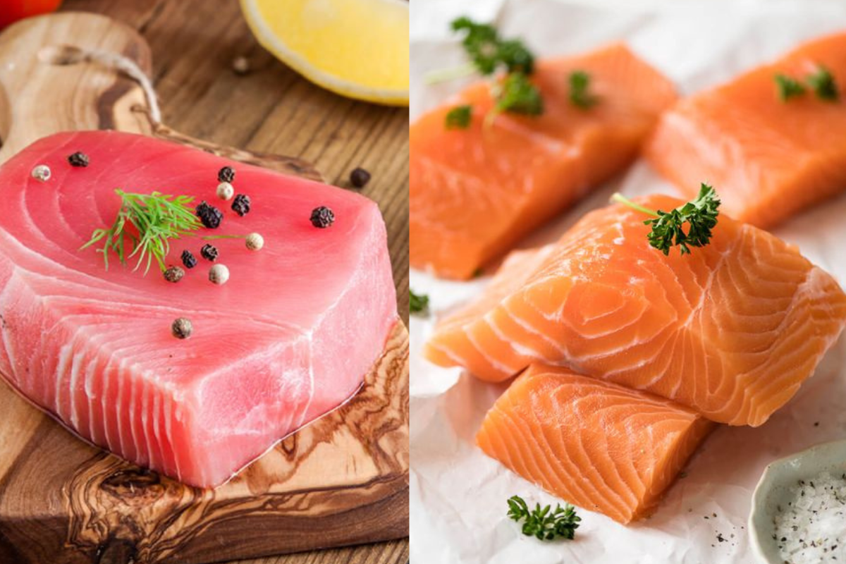 Tuna vs Salmon