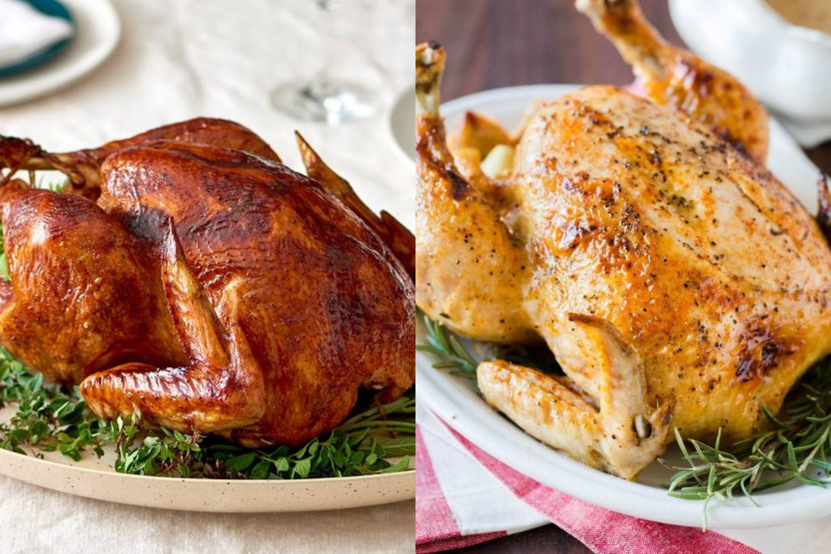 Turkey vs Chicken