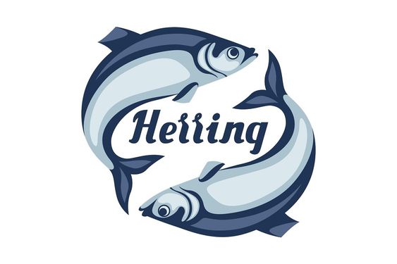 Herring meaning slang