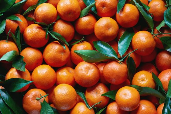 Mandarin vs Clementine