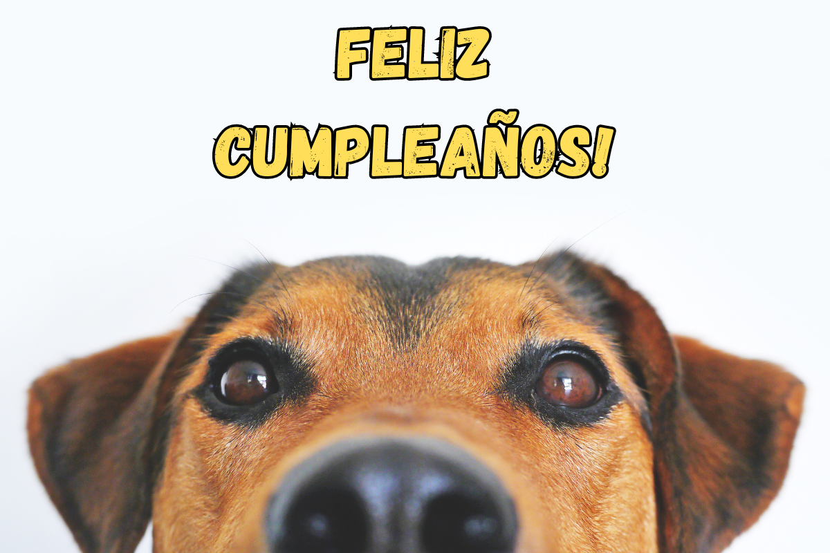 Best Happy Birthday Wishes in Spanish