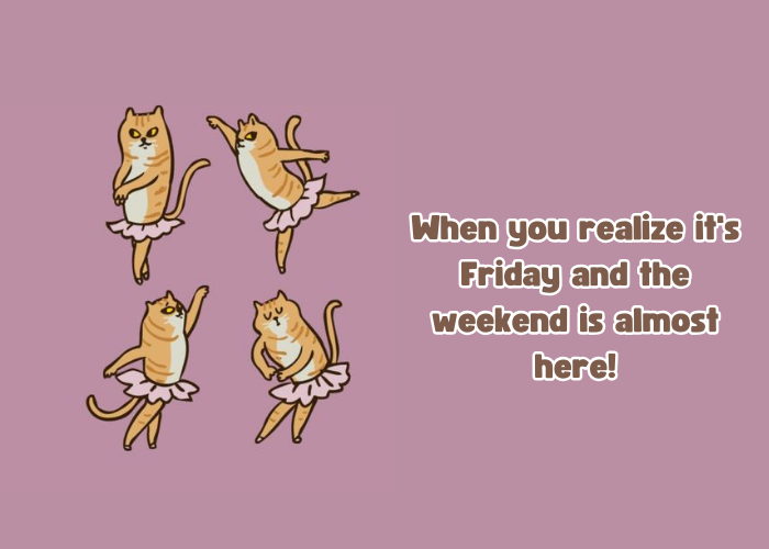 Happy Friday Funny Images